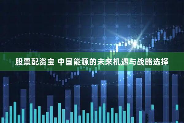 股票配资宝 中国能源的未来机遇与战略选择