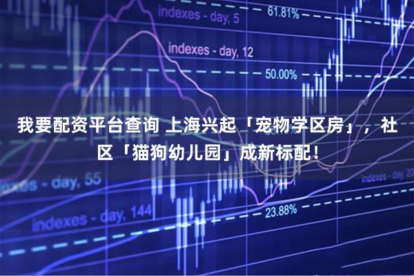 我要配资平台查询 上海兴起「宠物学区房」，社区「猫狗幼儿园」成新标配！