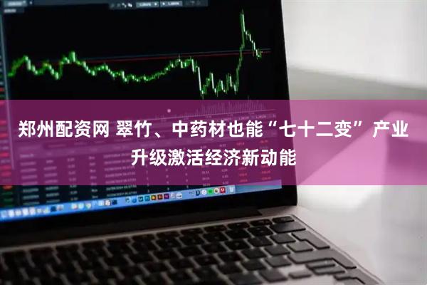 郑州配资网 翠竹、中药材也能“七十二变” 产业升级激活经济新动能