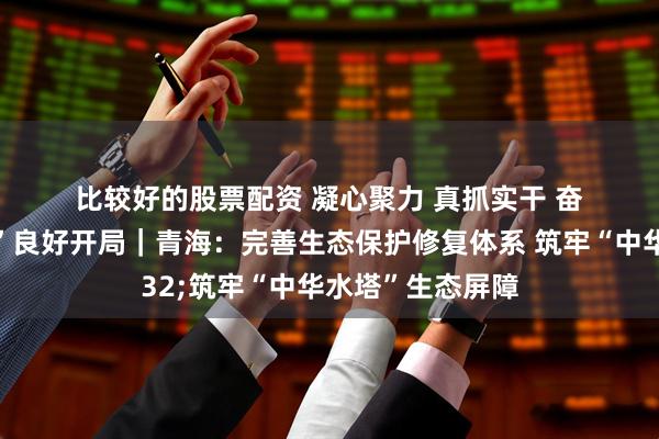 比较好的股票配资 凝心聚力 真抓实干 奋力实现“十五五”良好开局｜青海：完善生态保护修复体系 筑牢“中华水塔”生态屏障